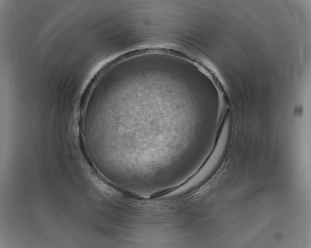 X0000091551124200708171300