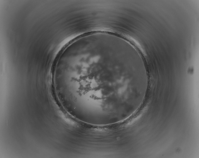 X0000091551125200708171300