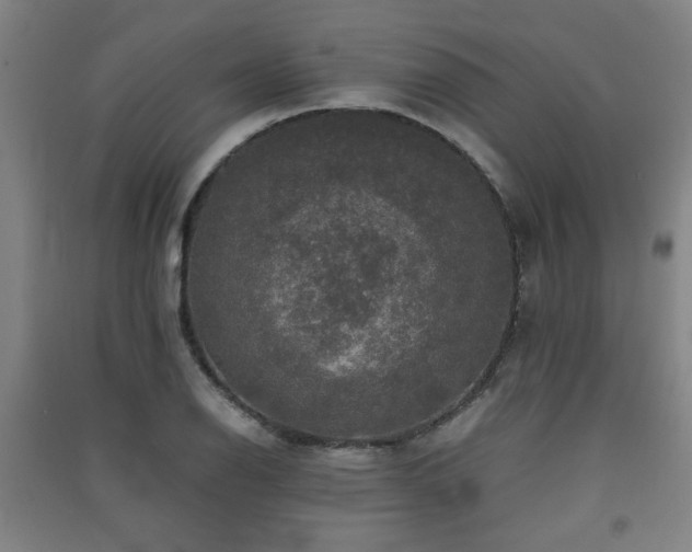 X0000091551126200708171300