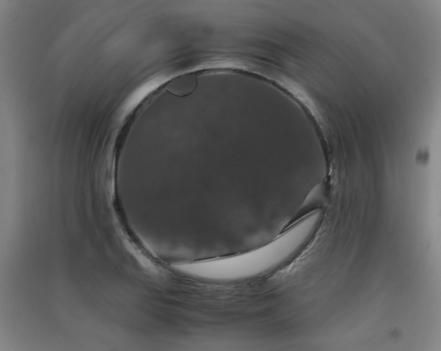 X0000091551127200708171300