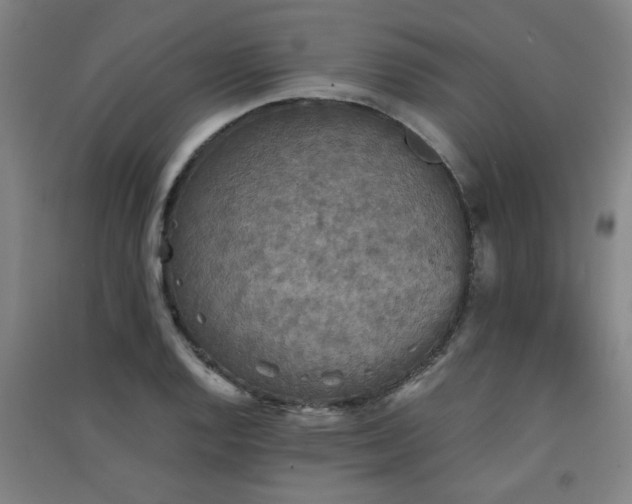 X0000091551128200708171300