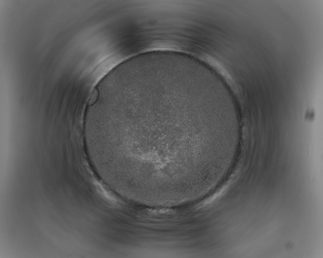 X0000091551129200708171300