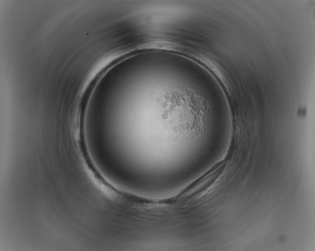 X0000091551131200708171300