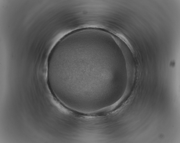 X0000091551132200708171300