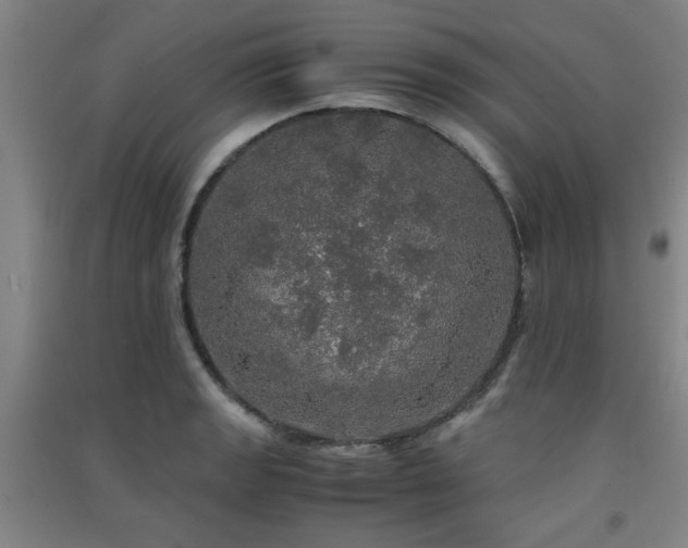 X0000091551133200708171300