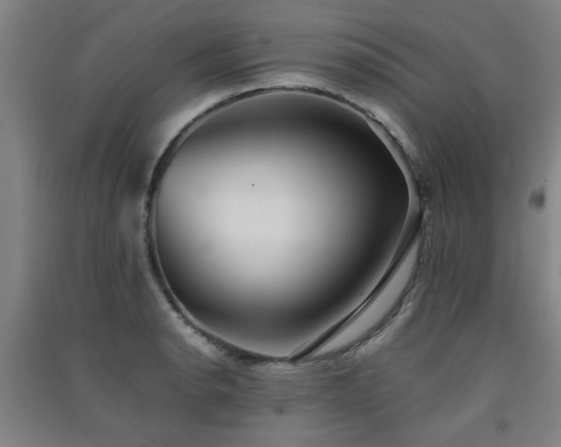 X0000091551134200708171300