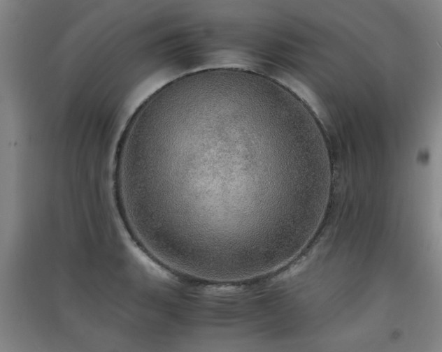 X0000091551135200708171300