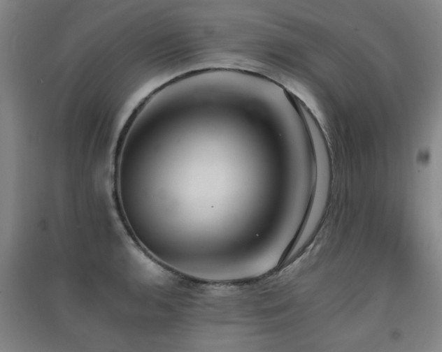 X0000091551136200708171300
