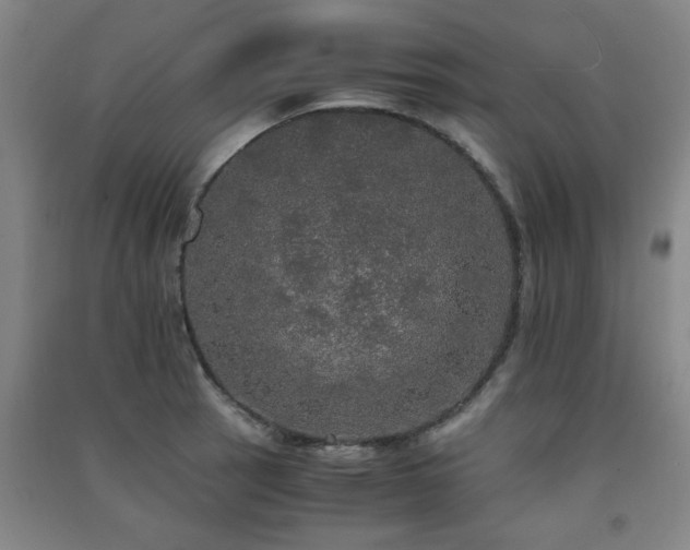 X0000091551137200708171300