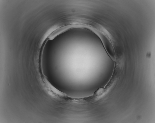 X0000091551138200708171300