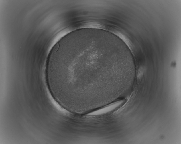 X0000091551139200708171300