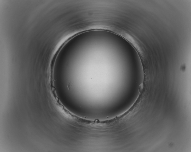 X0000091551140200708171300
