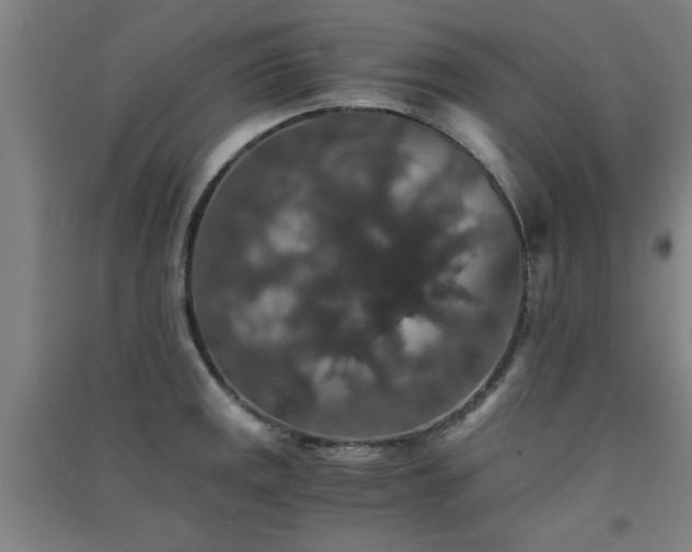 X0000091551141200708171300