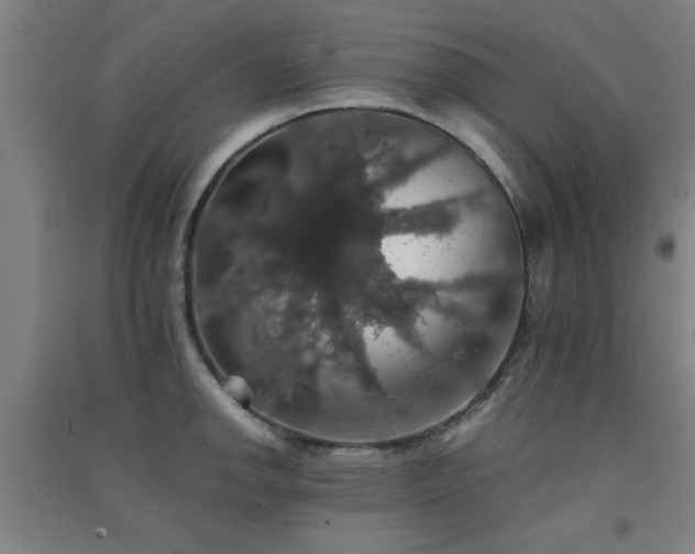 X0000091551142200708171300