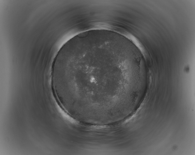 X0000091551143200708171300