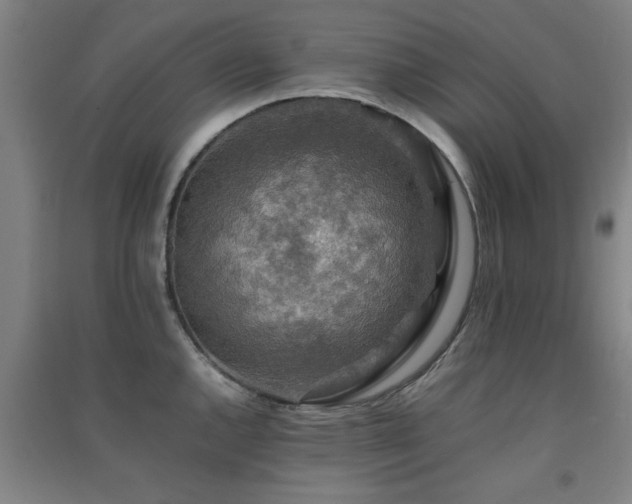 X0000091551144200708171300