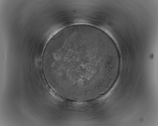 X0000091551145200708171300