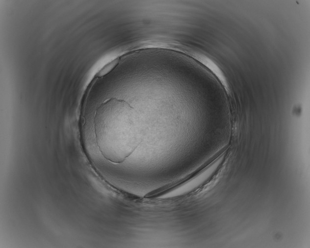 X0000091551146200708171300