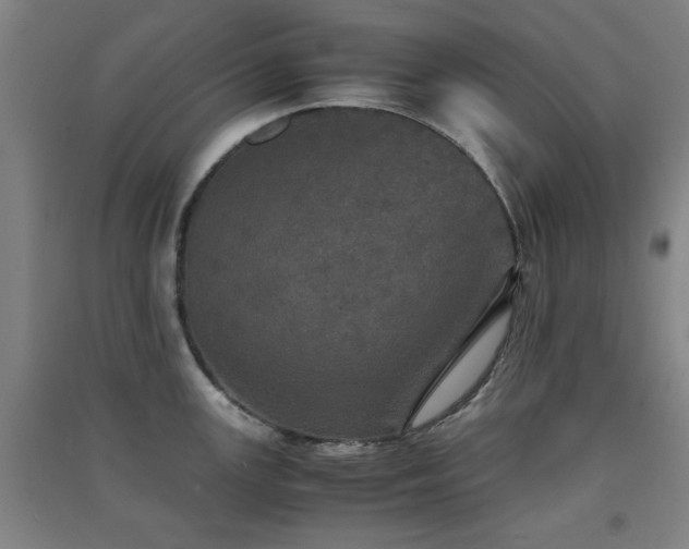 X0000091551147200708171300