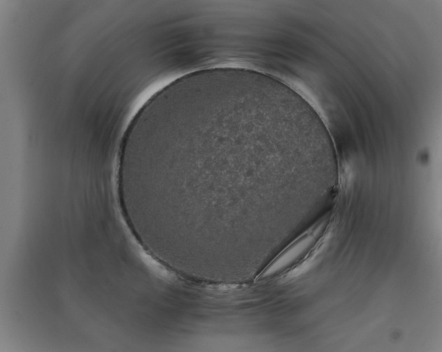 X0000091551149200708171300