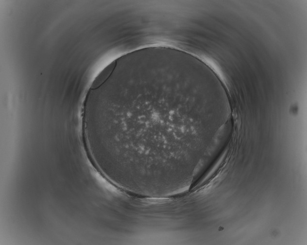 X0000091551151200708171300