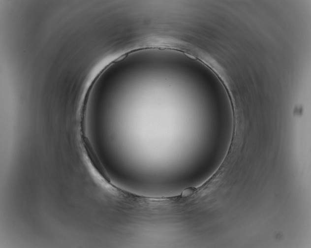 X0000091551152200708171300
