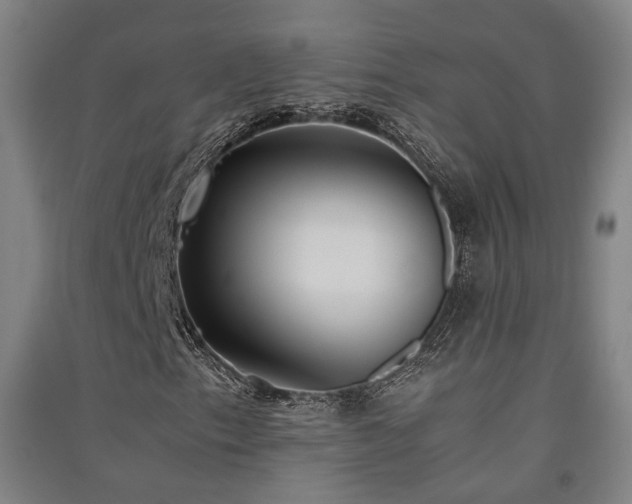 X0000091551153200708171300