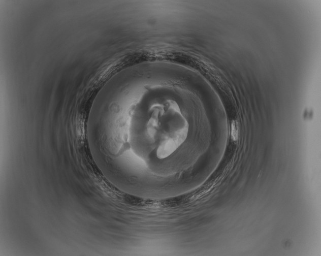 X0000091551155200708171300