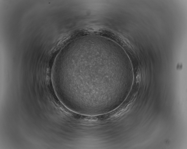 X0000091551156200708171300