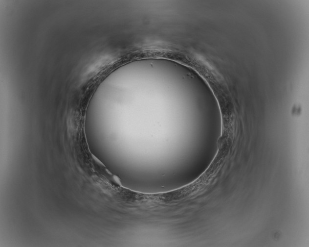 X0000091551157200708171300