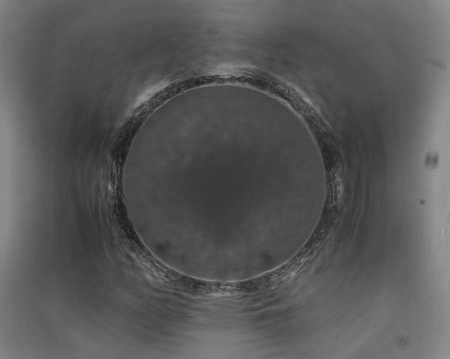 X0000091551158200708171300