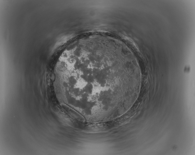X0000091551159200708171300