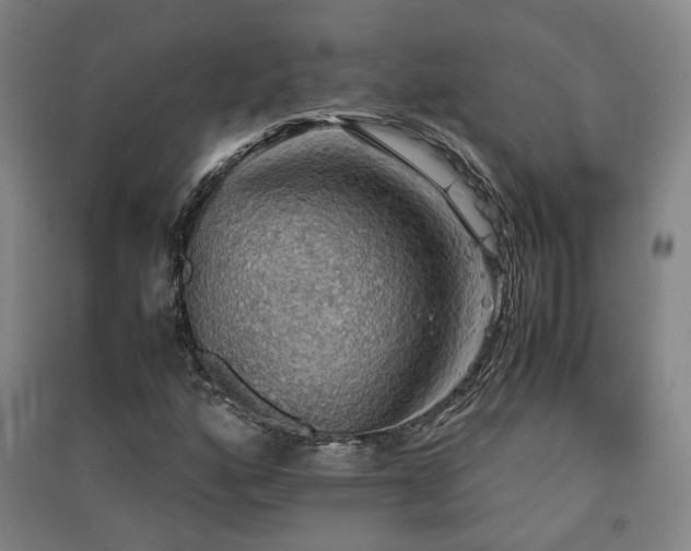 X0000091551160200708171300