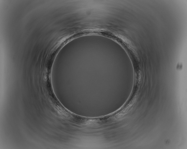X0000091551161200708171300