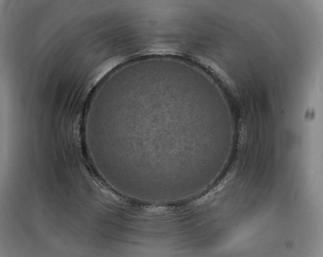 X0000091551162200708171300