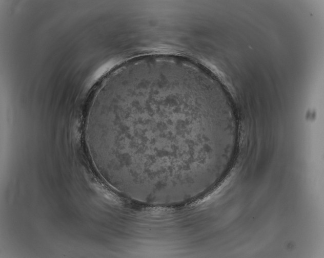 X0000091551163200708171300