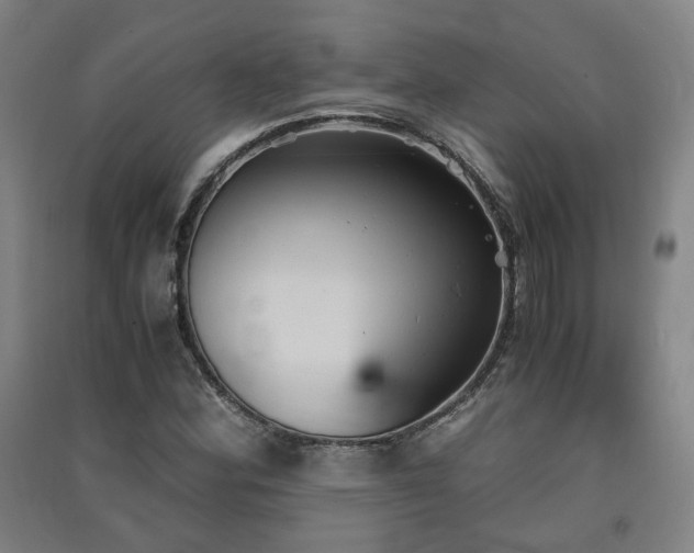 X0000091551164200708171300