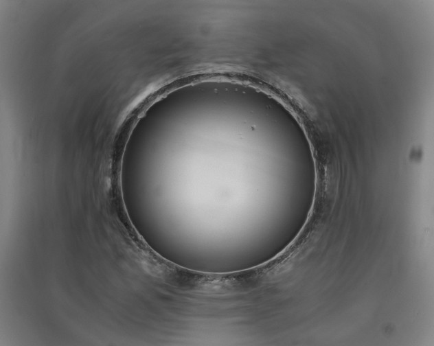 X0000091551165200708171300