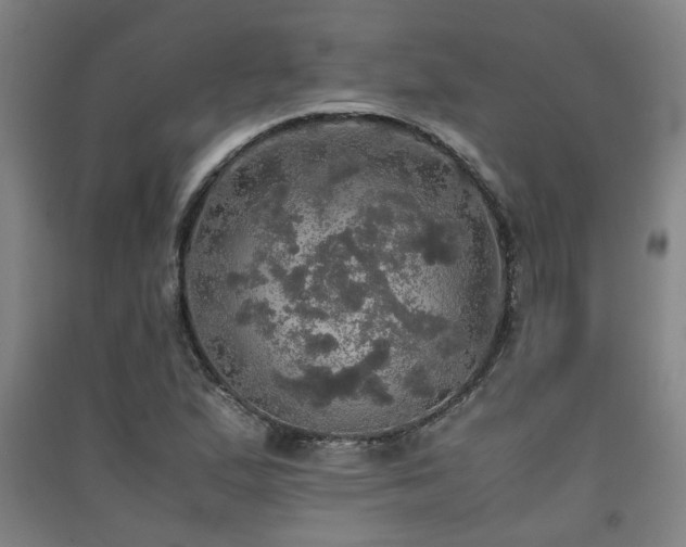 X0000091551167200708171300
