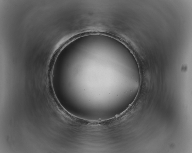X0000091551168200708171300