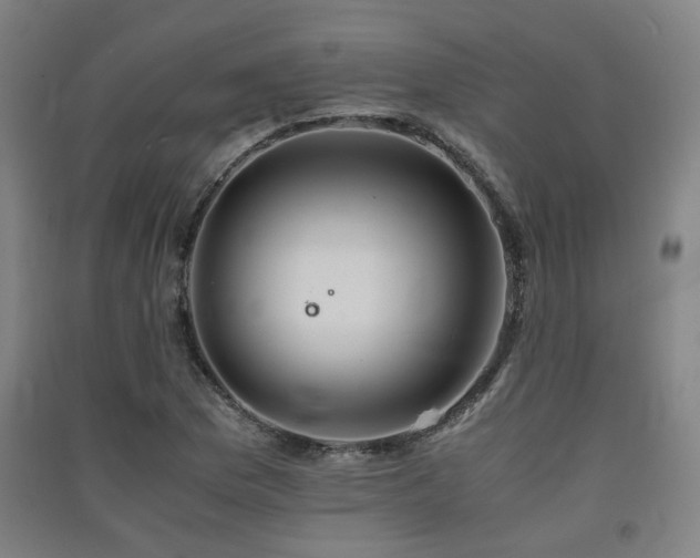 X0000091551169200708171300
