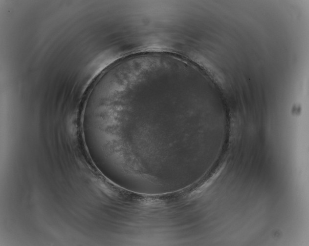X0000091551170200708171300