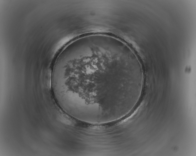 X0000091551171200708171300