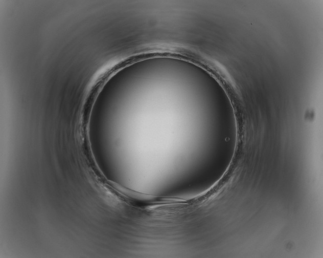 X0000091551172200708171300
