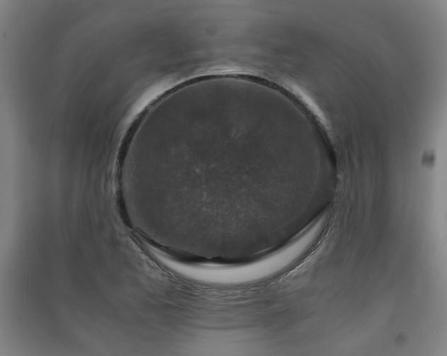 X0000091551173200708171300