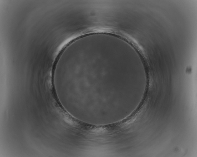 X0000091551174200708171300