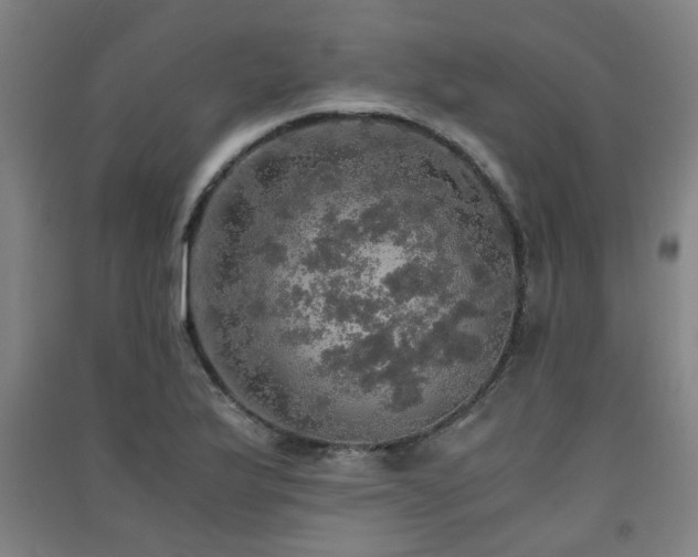 X0000091551175200708171300
