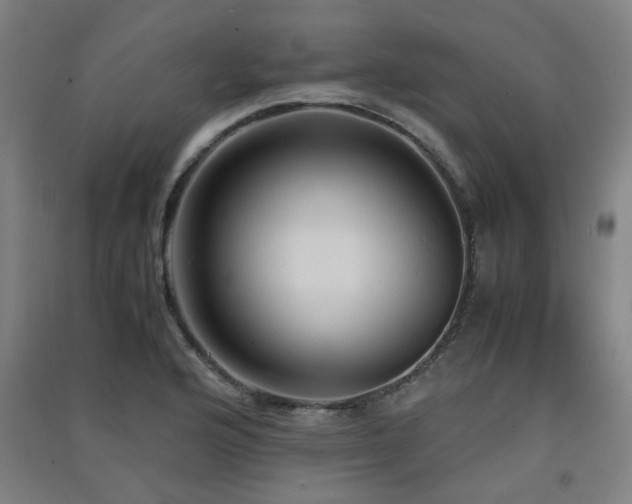 X0000091551176200708171300