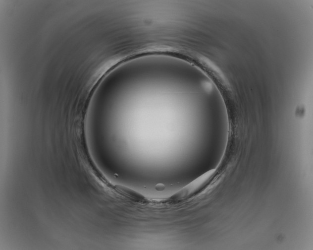 X0000091551177200708171300