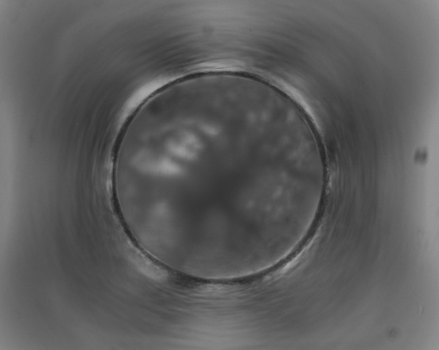 X0000091551179200708171300